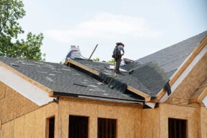 A homeowner uses a soft roof rake from the ground to remove leaves from a shingled roof.